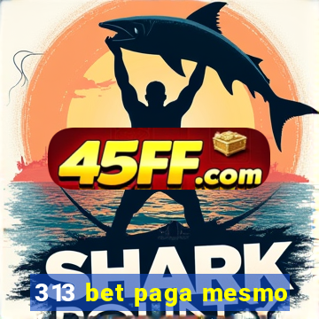 313 bet paga mesmo